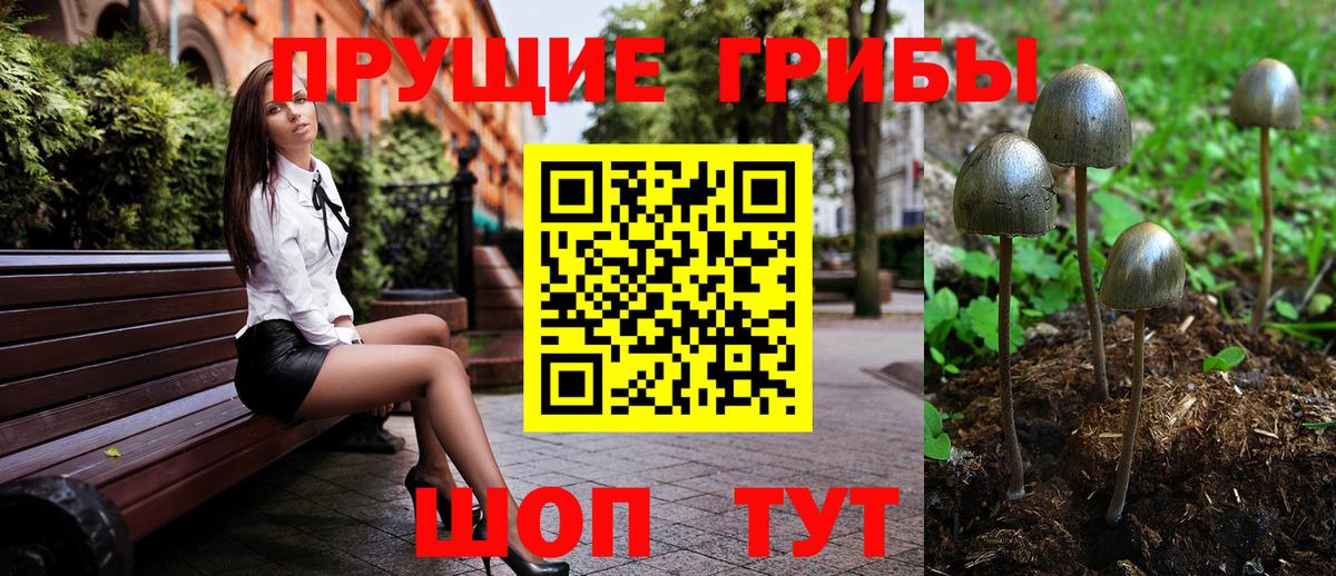 Псилоцибиновые грибы Psilocybe Добрянка