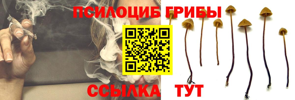 Добрянка  Псилоцибиновые грибы Magic Shrooms  Вход с VPN 